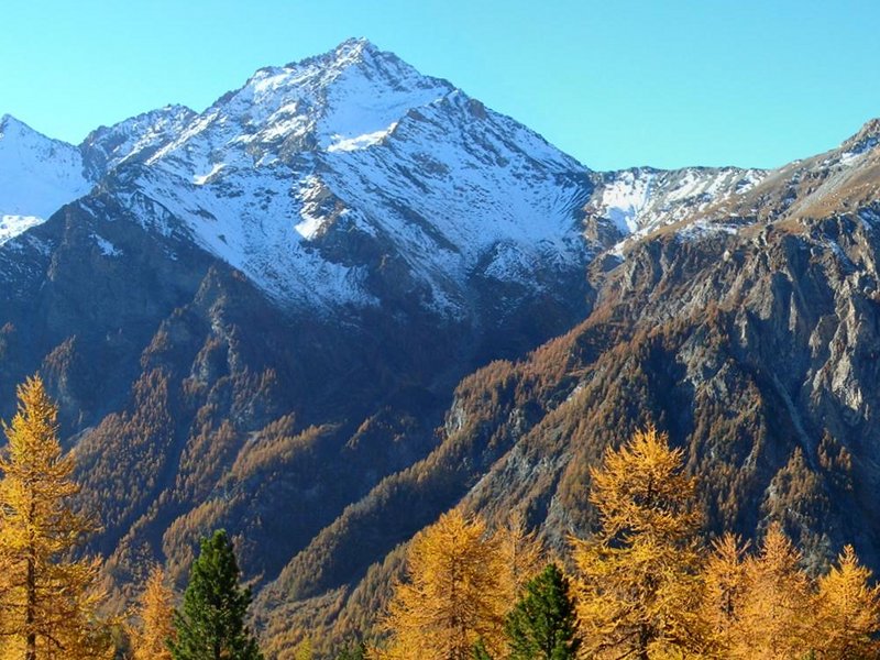 Vetta innevata e larici autunnali in Val Troncea